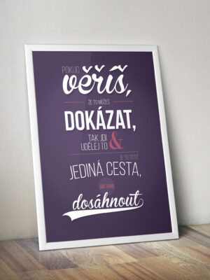 cica_v_kleci_plakat_pokud_veris_2