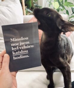 Číča v kleci | Milníkové kartičky jiné vtipné