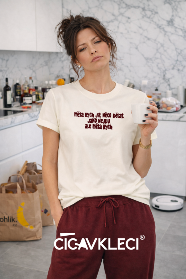 Unisex tričko Měla bych jít něco dělat. Jako nejdu. Ale měla bych. (Vintage bílé)