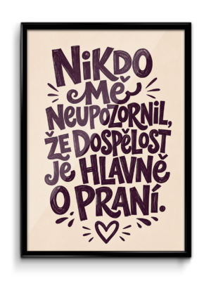 Plakát (obraz) Nikdo mě neupozornil, že dospělost je hlavně o praní