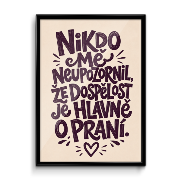 Plakát (obraz) Nikdo mě neupozornil, že dospělost je hlavně o praní