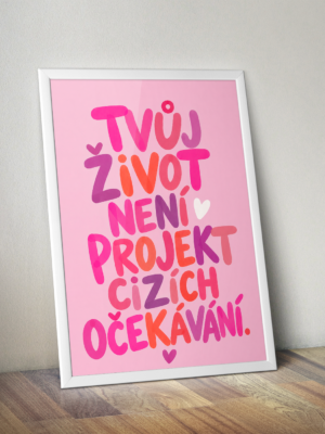 cicavkleci_projekt_ocekavani2